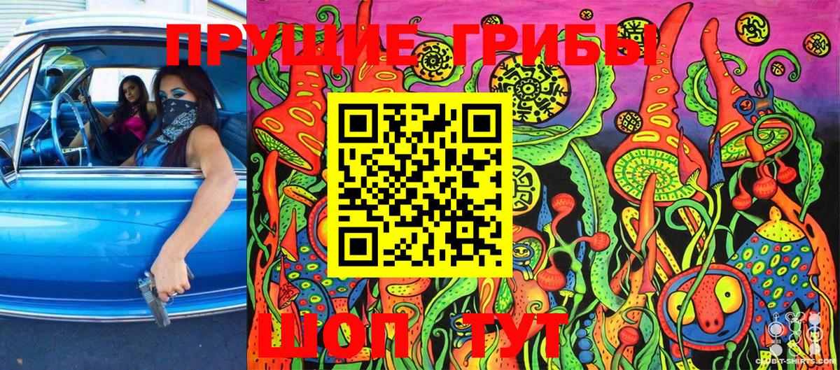 Галлюциногенные грибы Psilocybine cubensis Евпатория