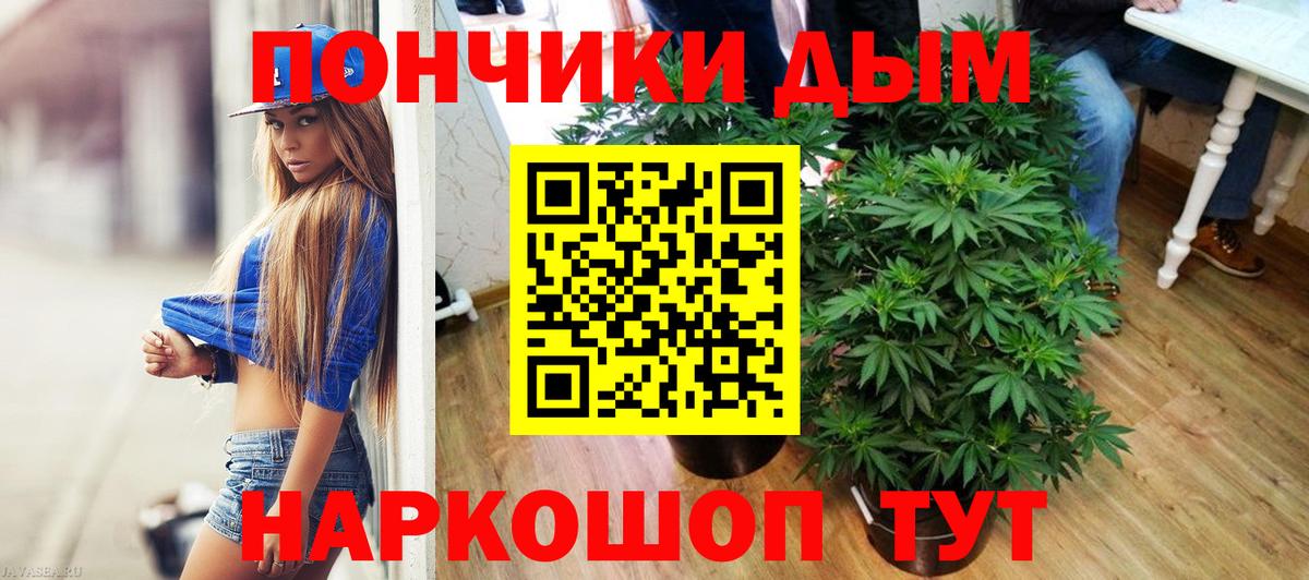 Канабис тримм  Марихуана планчик  Евпатория  Шишки марихуана марихуана  Конопля конопля  Вход с VPN 